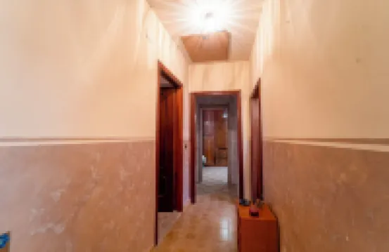 迪莫拉伊爾皮納