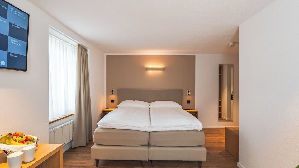 Hotel Artist