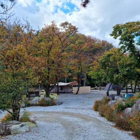 Gangneung Bogwang Camping Site (Bogwang Rural Experience Village) Отели рядом с достопримечательностью «Музей Тэгваллён»