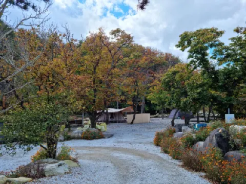 Gangneung Bogwang Camping Site (Bogwang Rural Experience Village) 仙子嶺周辺のホテル