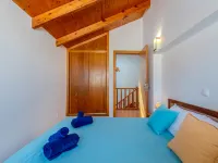 Rua 5 de Outubro - pet friendly