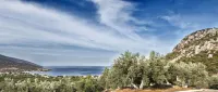 Epidavros Villas - Dafni Stone & Garden Retreat