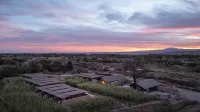 Fauna Atacama - 2-Star