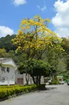 H4 Exceptional Location near Historic Center