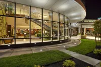Embassy Suites by Hilton Buffalo - piscine