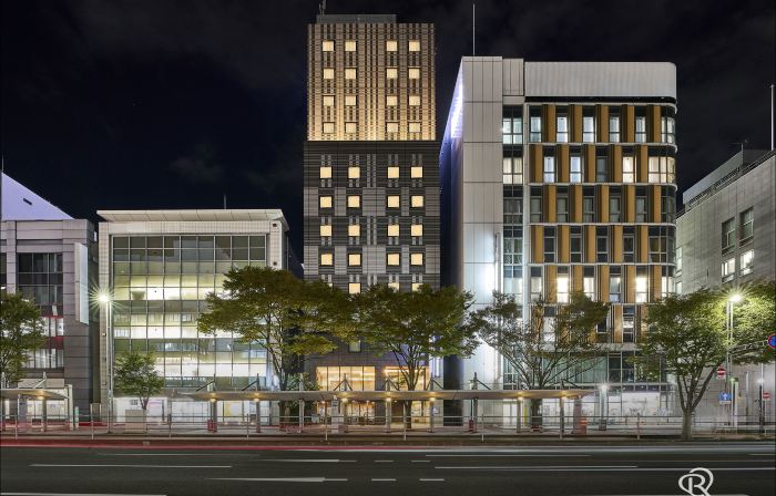 Daiwa Roynet Hotel Chiba Ekimae
