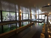 Unzen Mikado Hotel - balneario