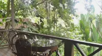 Sepilok Forest Edge Resort - bar