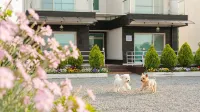 Suncheon Sum Pension - 4 estrellas