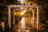 Basilica Resort - Where Luxury Redefines - Wifi
