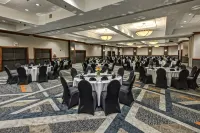 Hilton Knoxville Airport - Pysäköinti