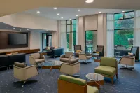 Courtyard Danbury - Pet friendly