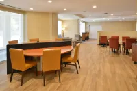 羅利-達勒姆機場/莫里斯維爾TownePlace Suites飯店 - Wi-Fi