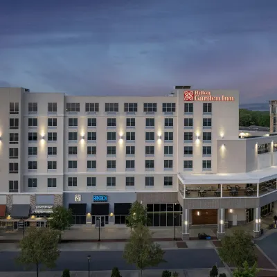 Hilton Garden Inn Charlotte Waverly Hotels near Ballantyne