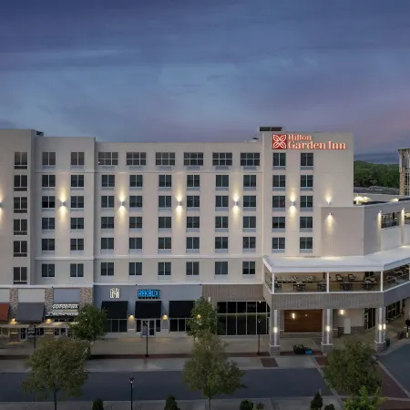 Hilton Garden Inn Charlotte Waverly
