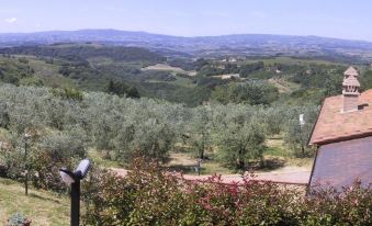 Holidays in the Heart of Chianti
