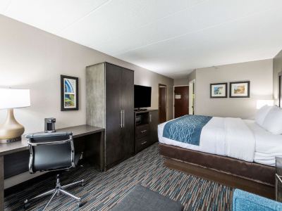 Comfort Inn Chicago Schaumburg - O'Hare Airport
