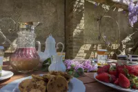 Un percorso di relax e storia tra vigneti e ulivi