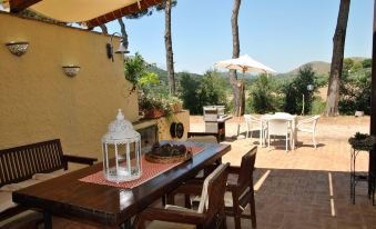 Saha Tourist Accommodation Among Olive Trees and Sea View