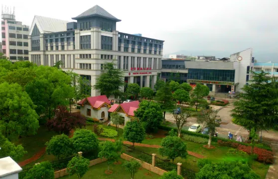 新田鼎豐國際大酒店