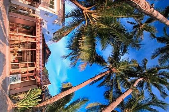 The Rose Pike at Boracay-Boracay Updated 2022 Room Price-Reviews & Deals |  Trip.com