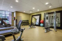 Hilton Garden Inn Stony Brook - Træningscentre