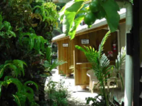Gecko Lodge Fiji Hotels in Vanua Levu