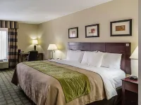 Comfort Inn Southwest Fwy at Westpark Các khách sạn gần Trung tâm mua sắm Plazamericas Mall