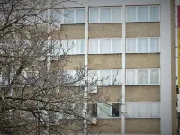 Hotel Rex Hotels in der Nähe von Blumenhaus