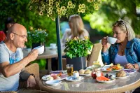 Lampeland Hotel - breakfast