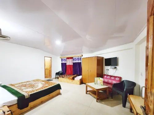 Hotel Ambika Manali since 1981 - piscina