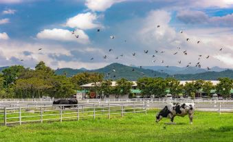 Yura Kiri Resort Khao Yai