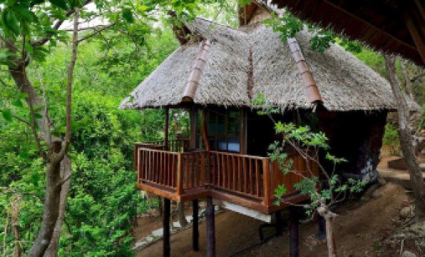 4. 럽 디 코 타오..