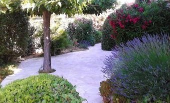 House with 3 Bedrooms in Bandol, with Wonderful Sea View and Enclosed Garden - 800 m from The Beach