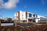 SpringHill Suites Medford Airport Hotels in Medford