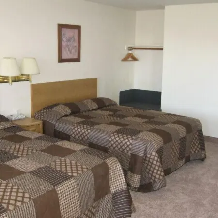 Little Bear Motel