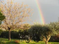 La Casa Nert Hôtels à : Millas