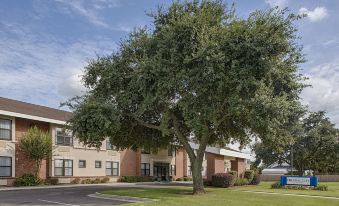 Federal City Inn & Suites