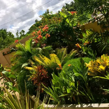 Victoria Palms Hotel