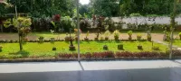 Nature Villa Kochi Hotels near Kodikuthumala Panchayth Ground