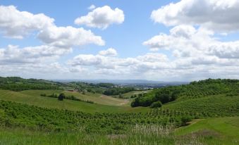 Aux Coteaux d'Aussac