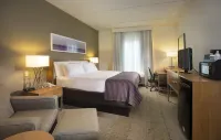 Holiday Inn Express & Suites New Orleans Airport South Hotels near St Angela Merici Church