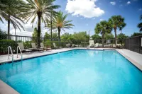 Hampton Inn & Suites Clearwater/St. Petersburg-Ulmerton Rd - Pools