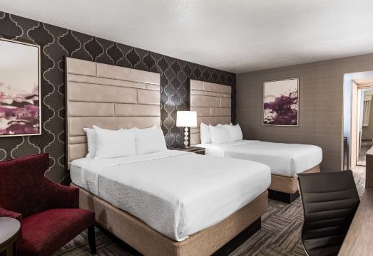 7. 애비 인 시더 ..