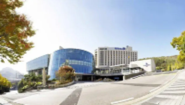 瑞士大酒店 西大門區酒店