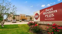 Best Western Plus Carrizo Springs Inn  Suites Hôtels à : Crystal City