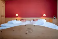 Hotel Alpina Klosters - Pet friendly