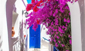 a picturesque street with blue doors and white walls , surrounded by pink flowers and purple vines at Syros Atlantis