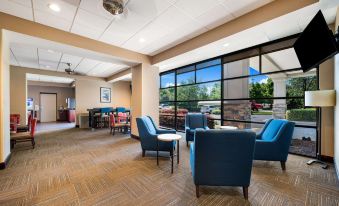 Comfort Suites Northlake