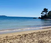 Studio Le Pradet Hôtels à proximité de : Plage des Oursinières